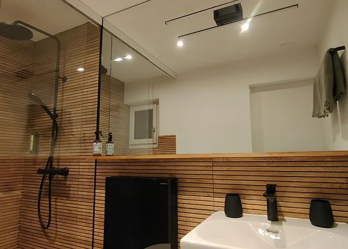 Casa Suvita , Alpine Luxury Surselva Appartement